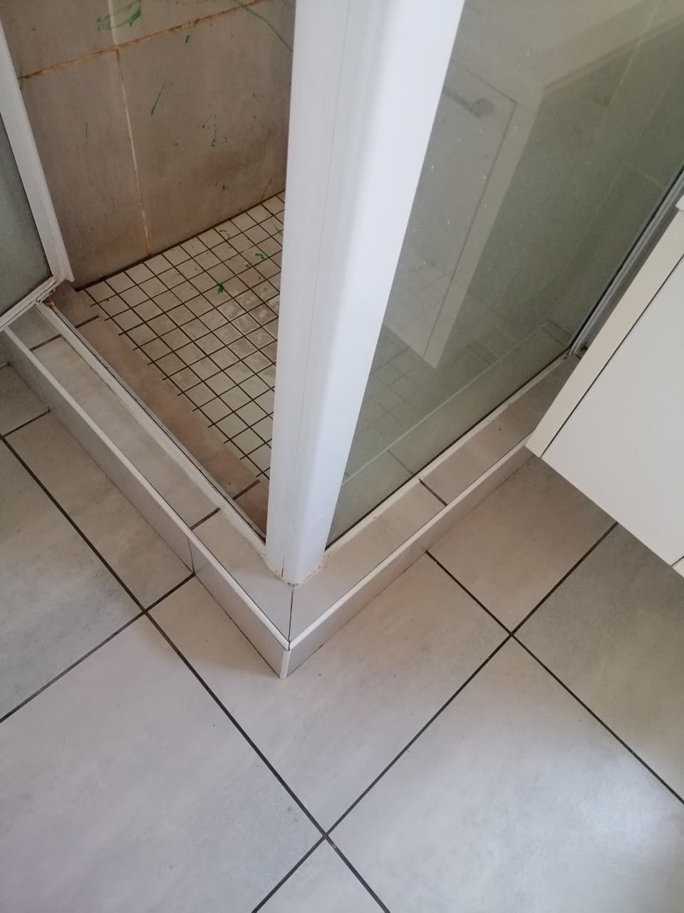 APARTMENT BATHROOM DEEP CLEAN — BEFORE